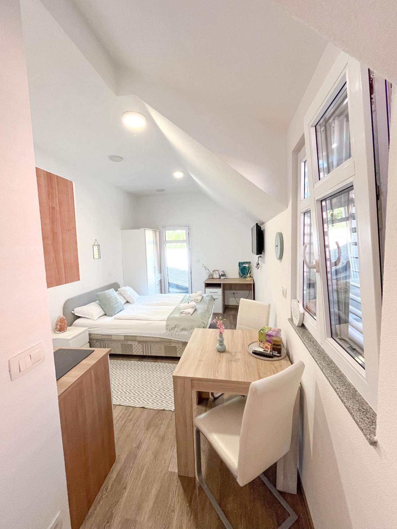 לובליאנה Anita'S Studio Apartments מראה חיצוני תמונה